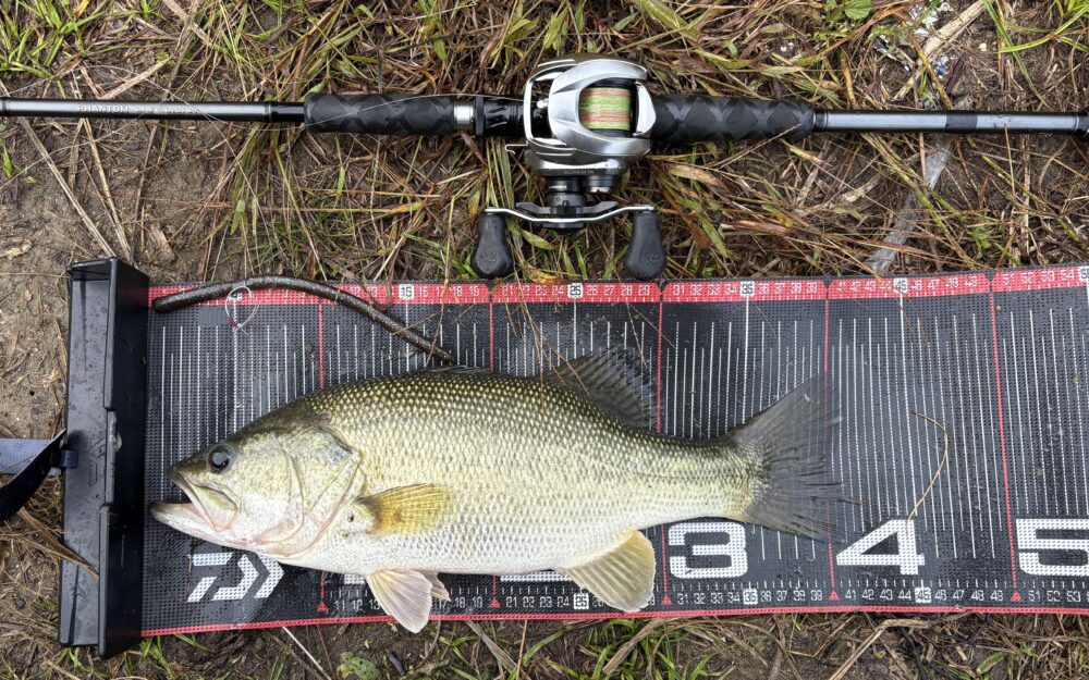 ファントムリベラリスト703MH+RSBでの釣果