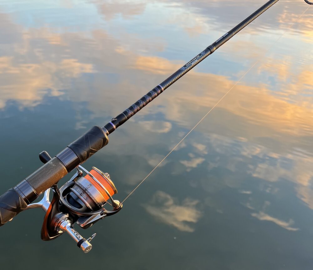 DAIWA ハートランド 6102MLFS-19 - ロッド