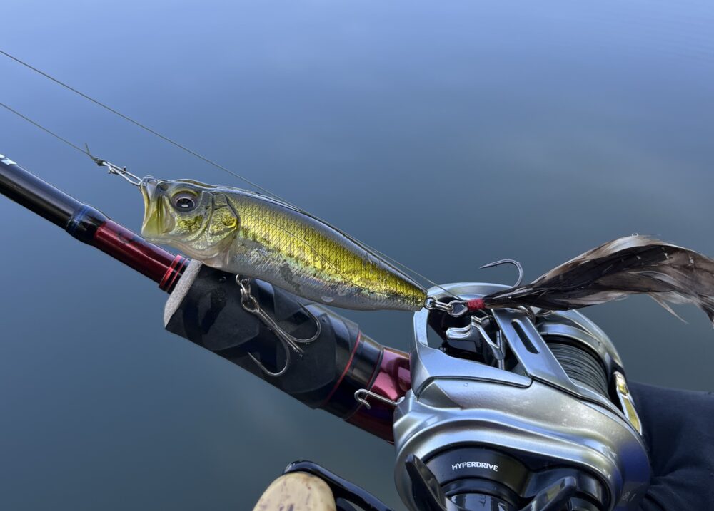 POP-MAX インプレ】狙って良型を取れる食わせのポッパー | PEIの