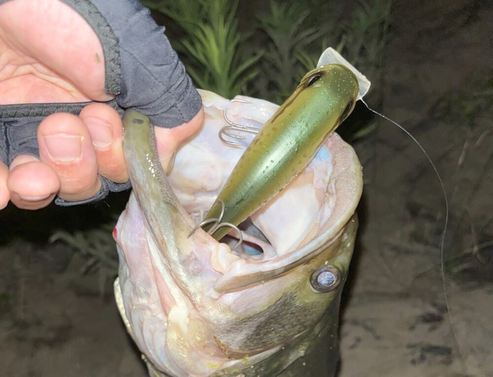 バスジェットの釣果