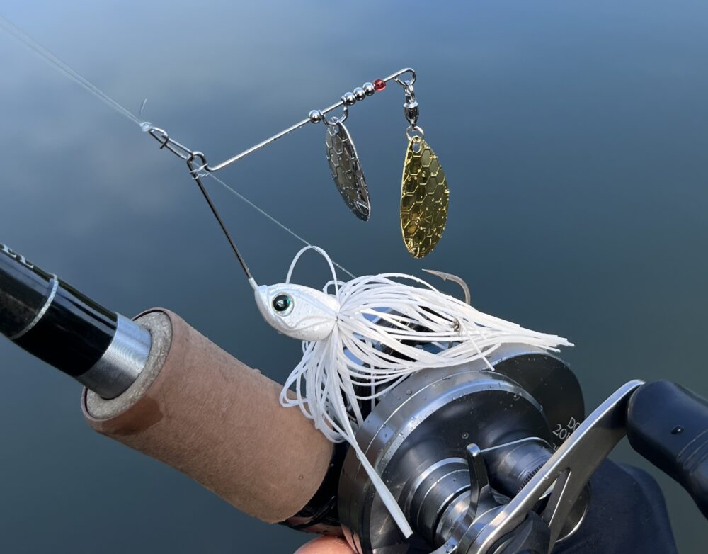 778b66c8caf85c268a14a98027e92c