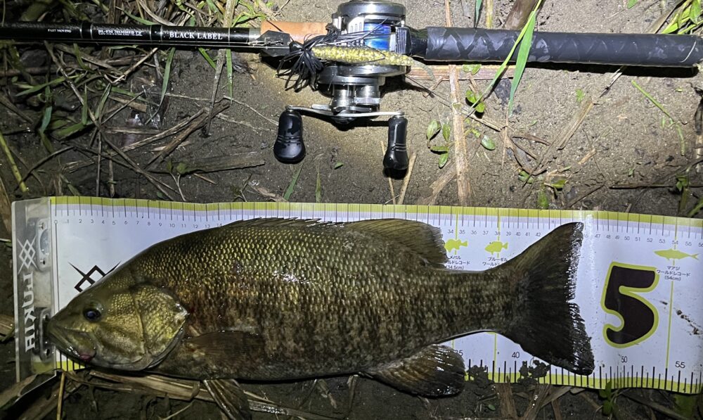 ジャックハンマーでの釣果