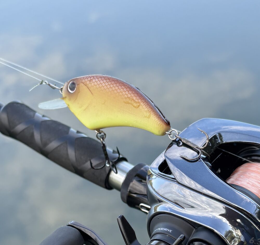 25IM Z TW 100-Cのキャスト性能8gフラットサイド高比重PE
