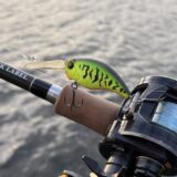 ワイルドハンチ