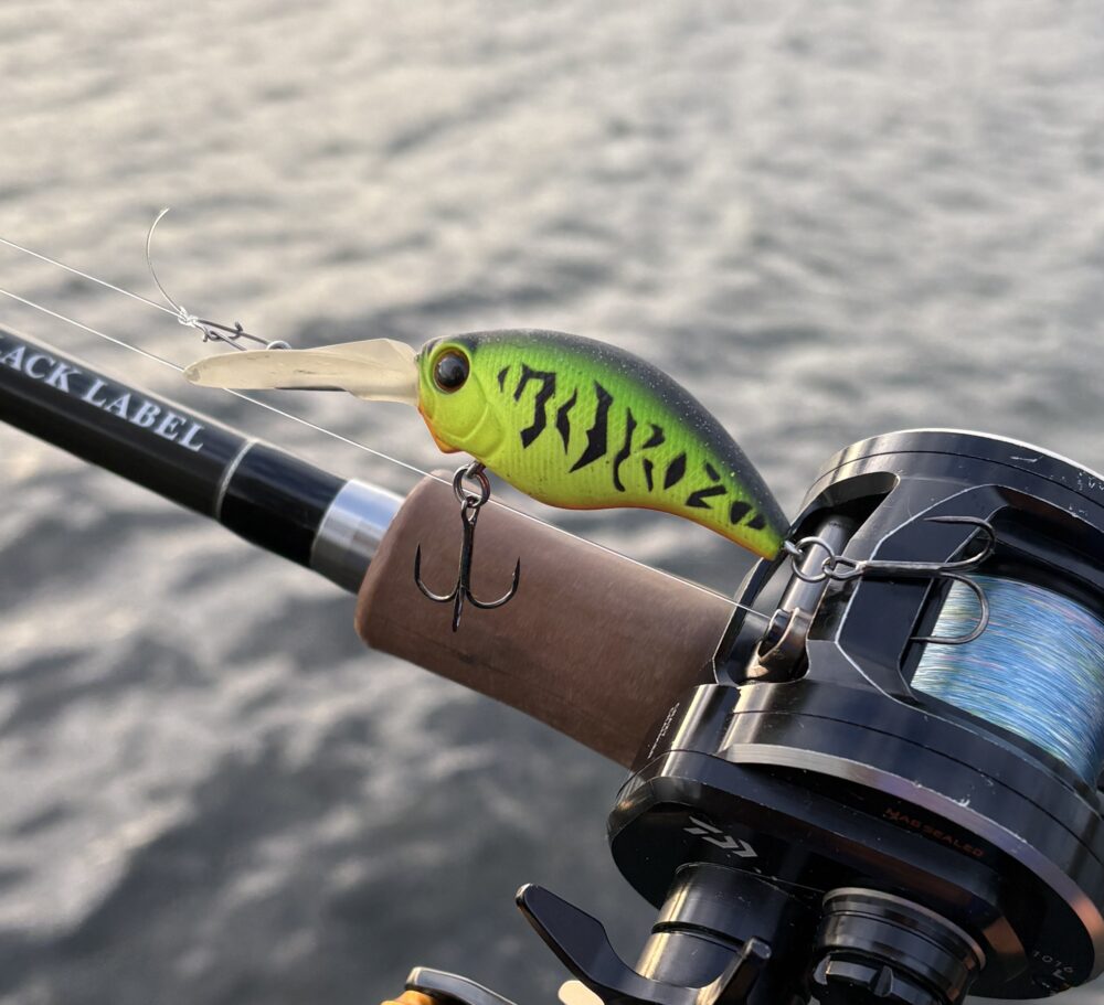 ワイルドハンチ