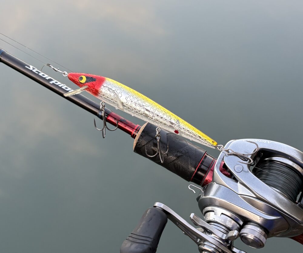 ラトリンログの使用例