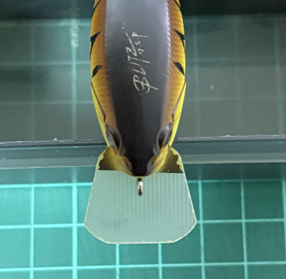 ブリッツのリップ