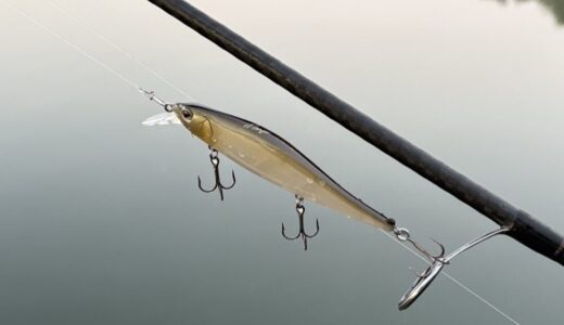 【フランジャー インプレ】近年稀な水を切るジャークベイト