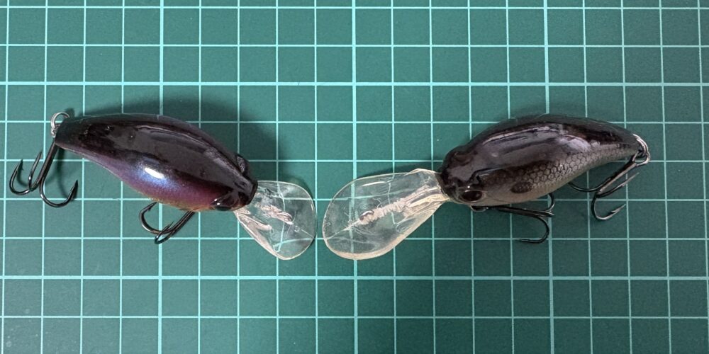 ワイルドハンチのショートリップ