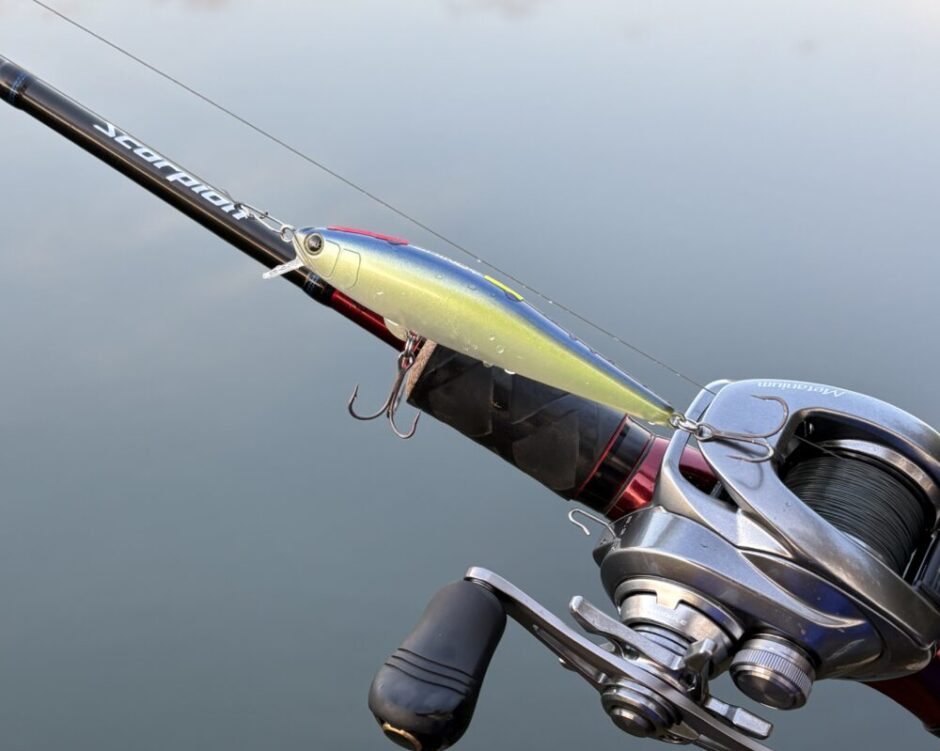 シンディ94の使用例