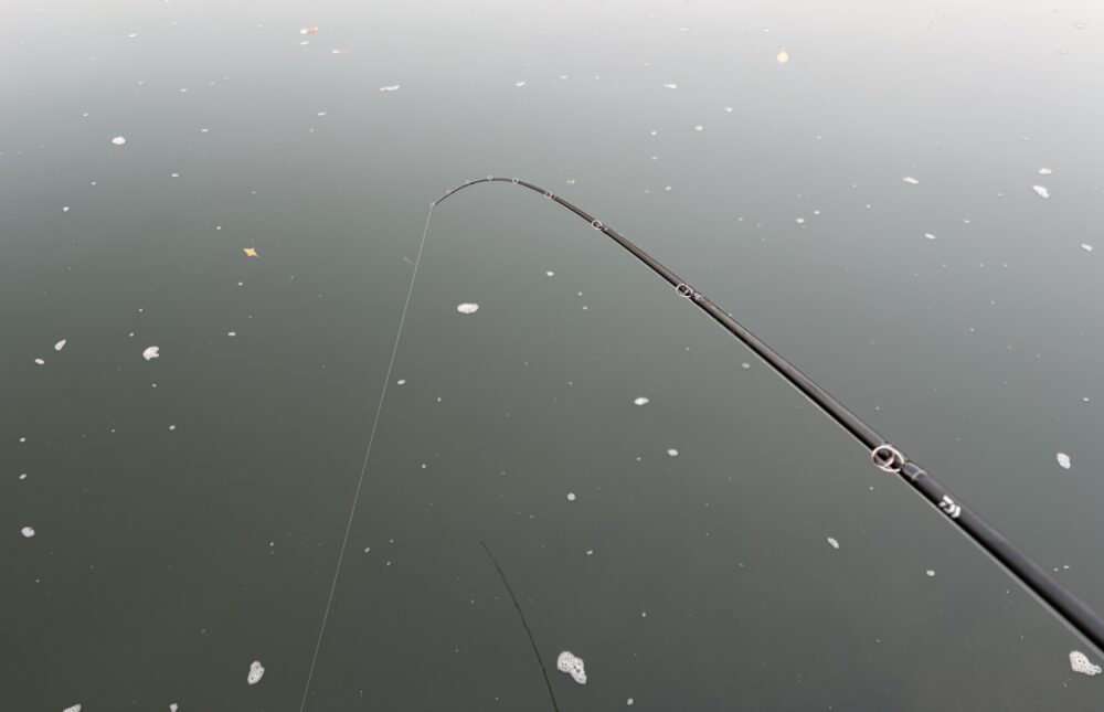 26タトゥーラ 701MFB-Gの食い込み
