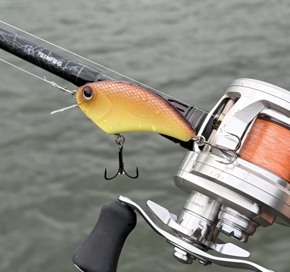 26リョウガのキャスト性能8gフラットサイドPE