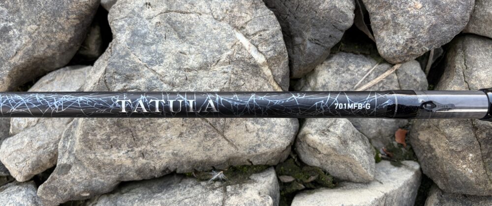 26タトゥーラ 701MFB-Gの外観