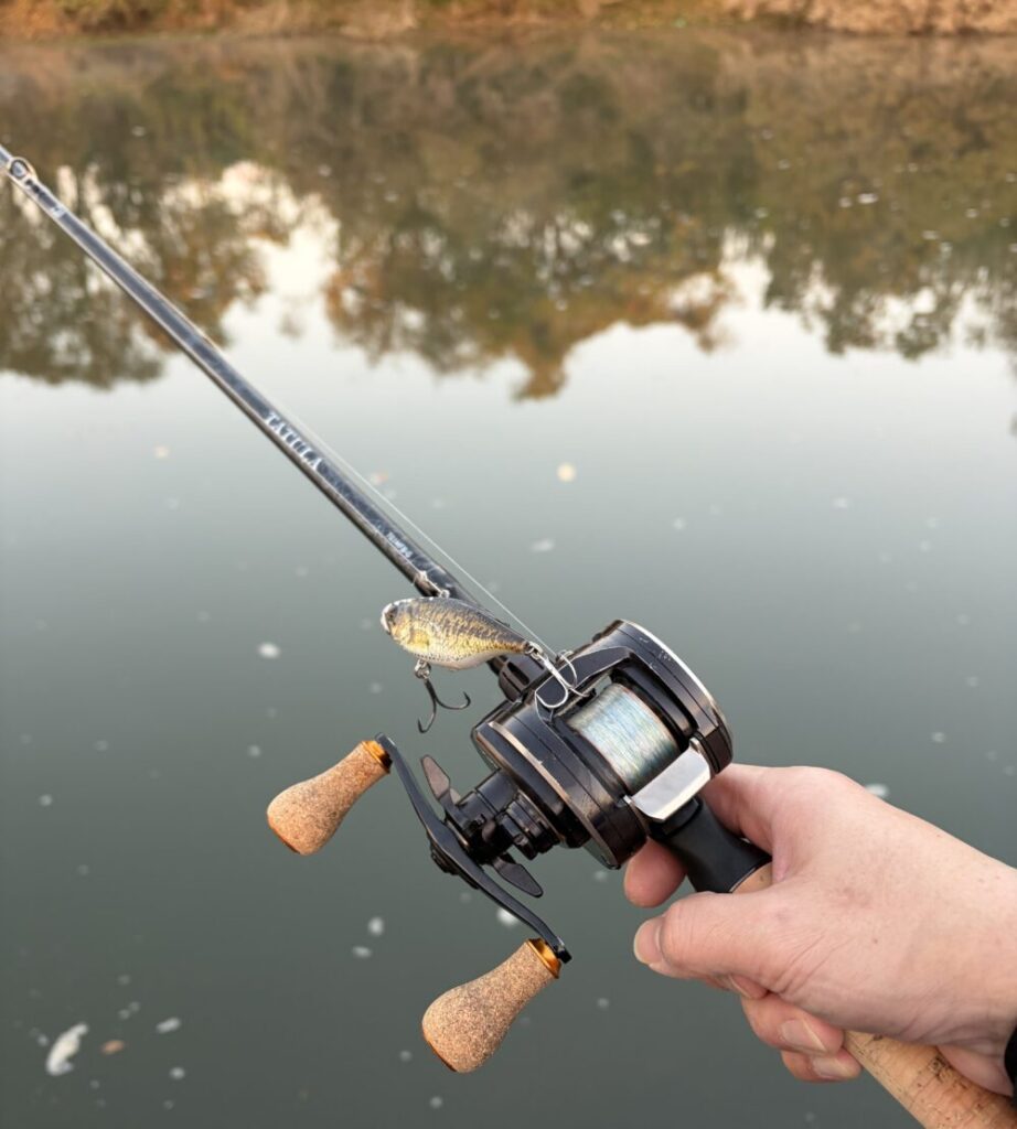 26タトゥーラ701MFB-Gのキャスト性能