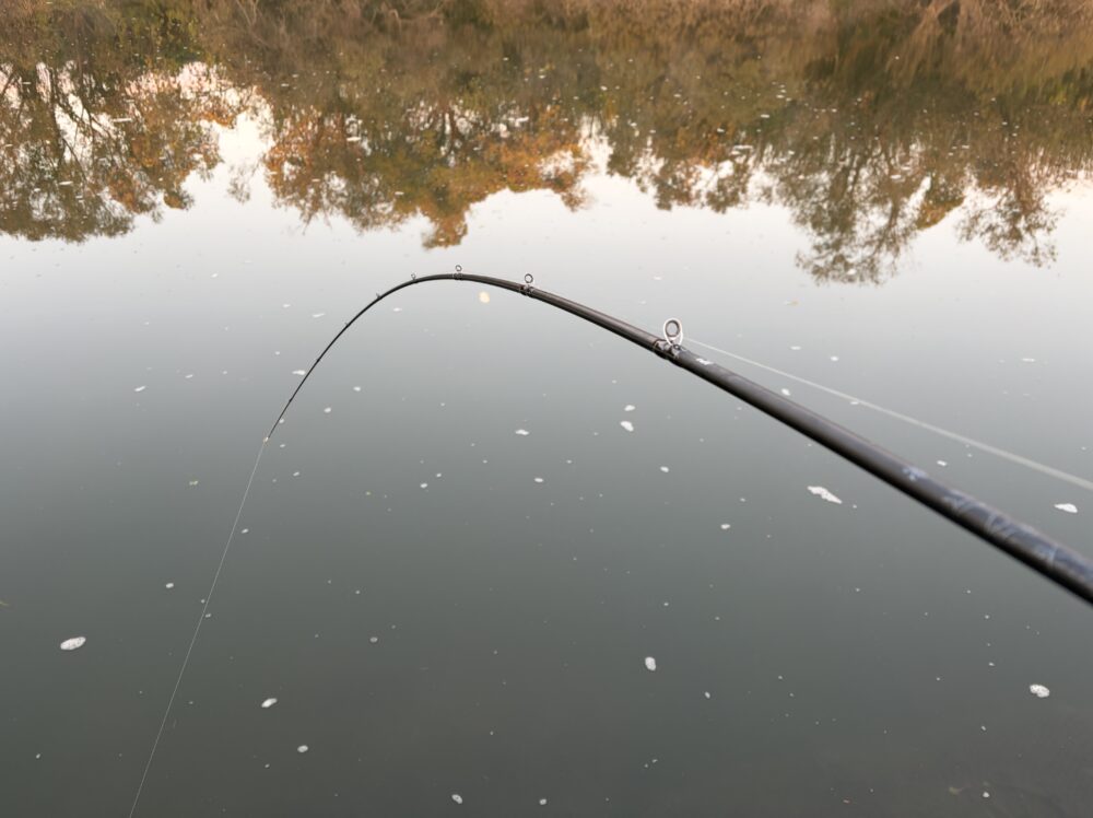 26タトゥーラ 701MFB-Gのフッキング