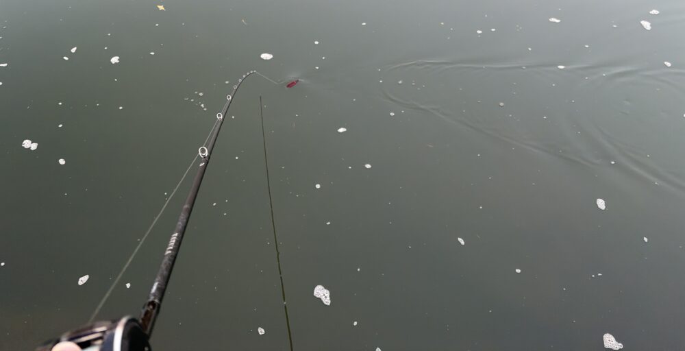 26タトゥーラ 701MFB-Gの感度