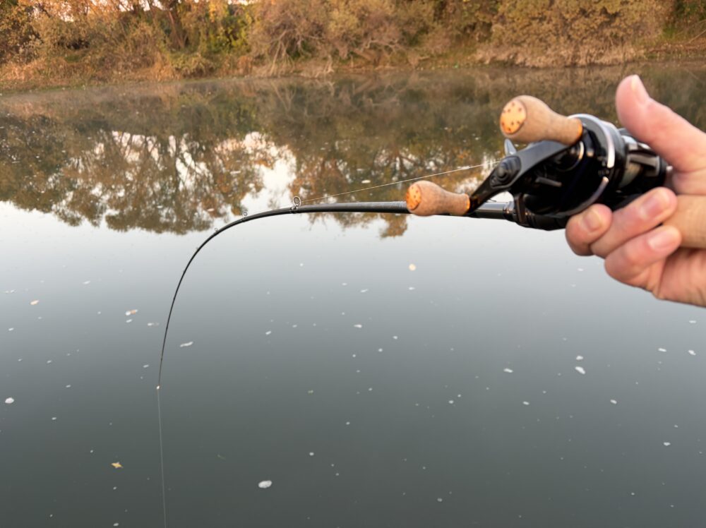 26タトゥーラ 701MFB-Gのトルク