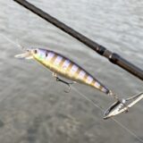 ビーフリーズ78の使用例