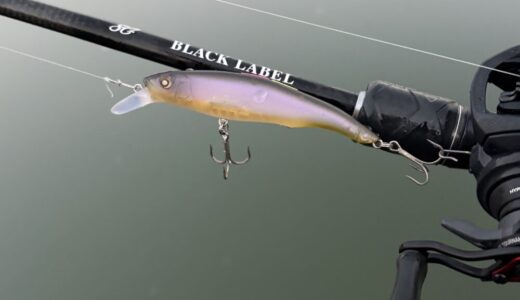 【エリー95SD インプレ】微濁のフラットに強いジャークベイト