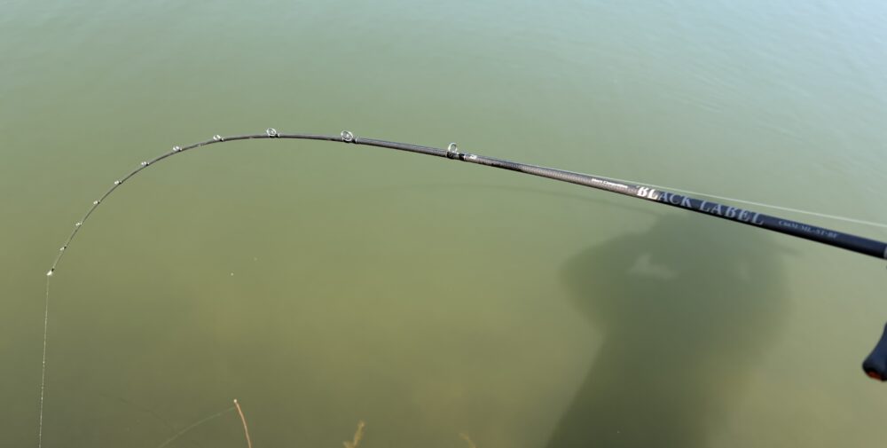 25BLX SC C66MML-STのトルク