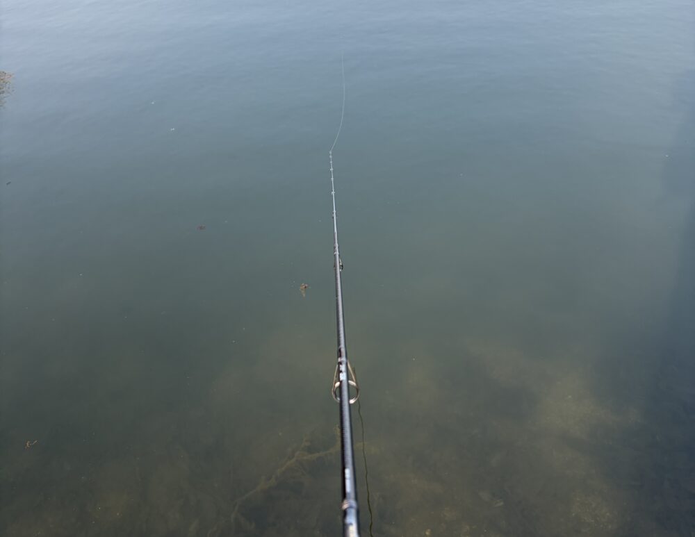 26ヴァンキッシュCEと23ヴァンキッシュの巻き感比較2