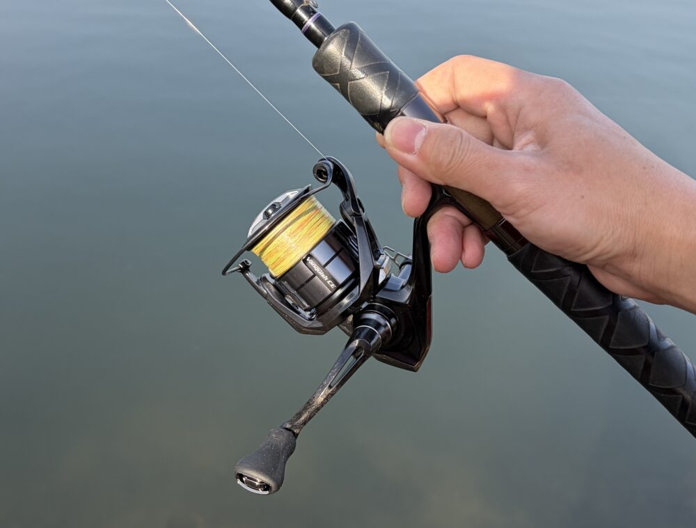 26ヴァンキッシュCEの使用例