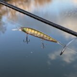 【フェイス87 インプレ】渋った状況に強いジャークベイト