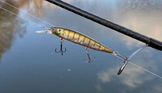 【フェイス87 インプレ】渋った状況に強いジャークベイト