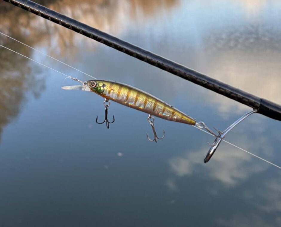 フェイス87の使用例