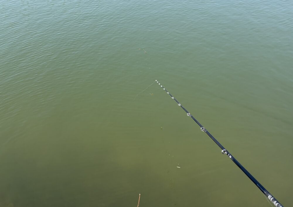 25BLX SC C66MML-STの感度