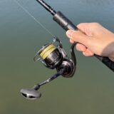 26セルテートHDの使用例