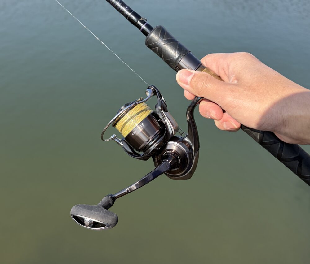 26セルテートHDの使用例