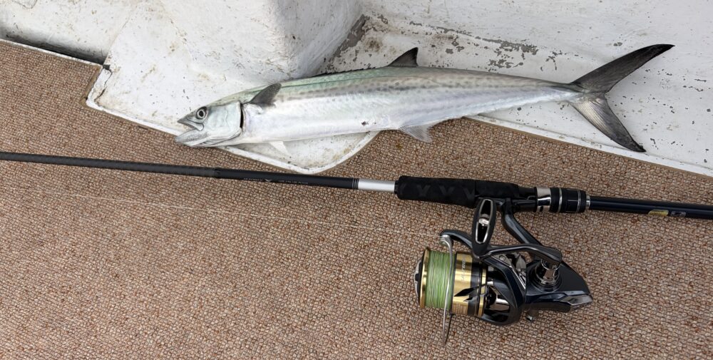 ムーンショットBS S73M+での釣果