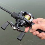 26タトゥーラBFの使用例1