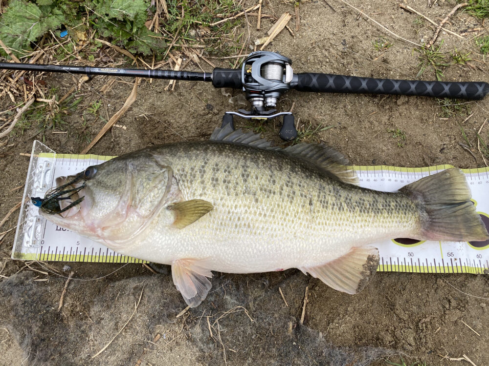 ハートランドのトルク