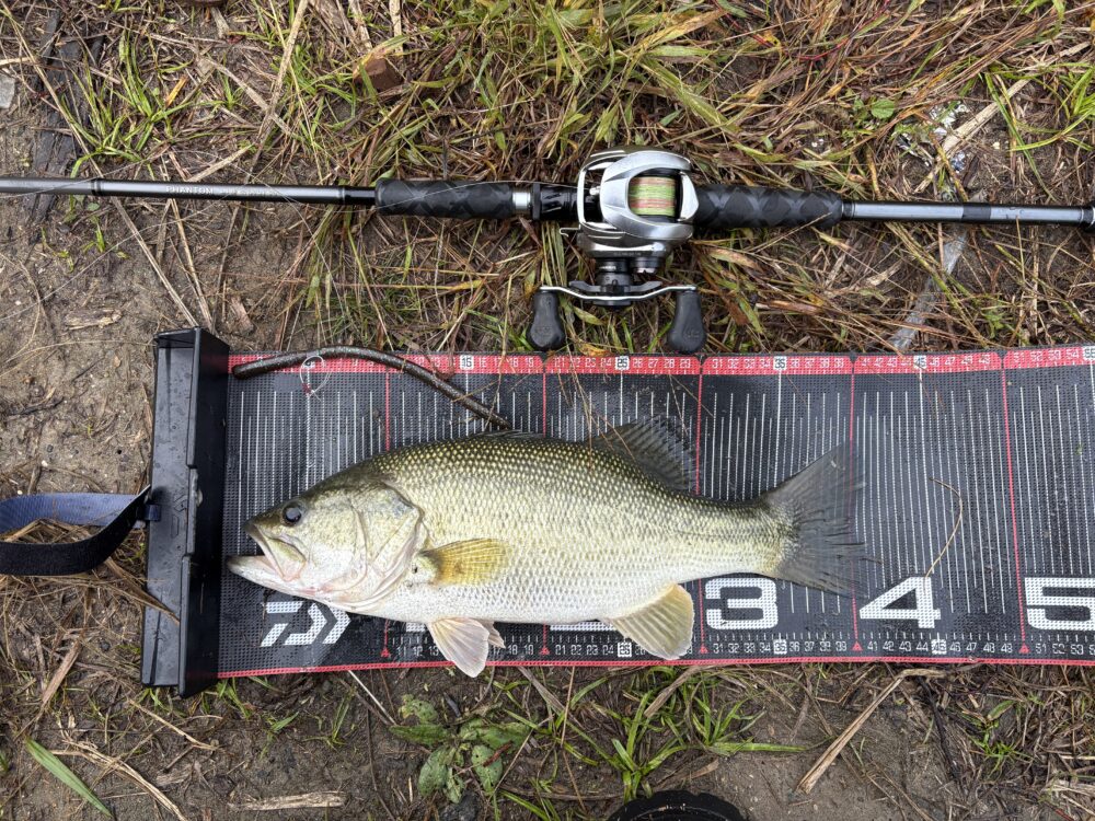 ファントムリベラリストのトルク