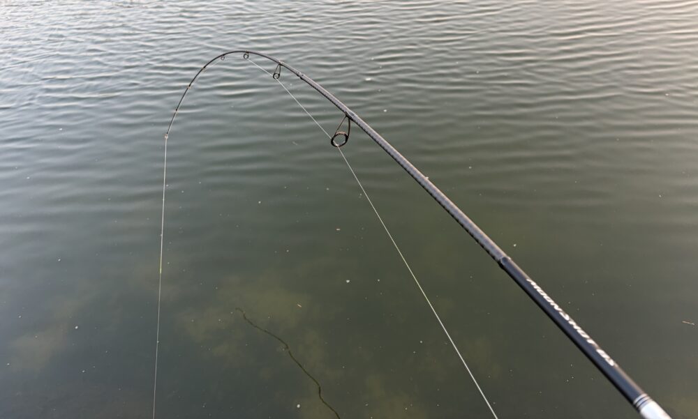 ムーンショットBS S73M+のフッキング性能