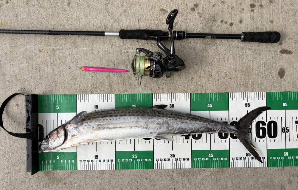 25アルテグラの釣果