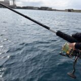 ムーンショットBS S73M+の使用例1