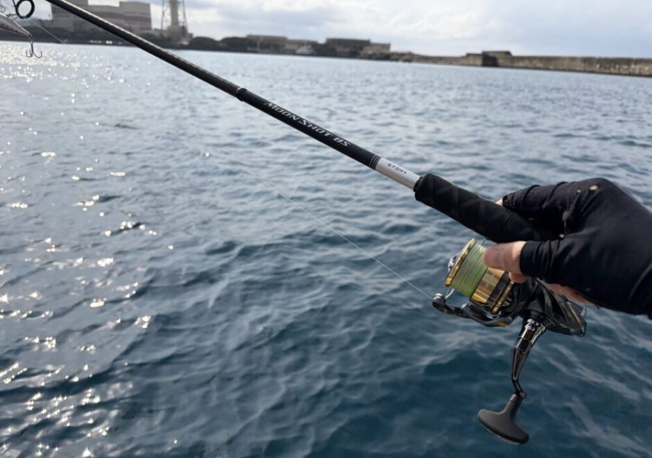 ムーンショットBS S73M+の使用例1