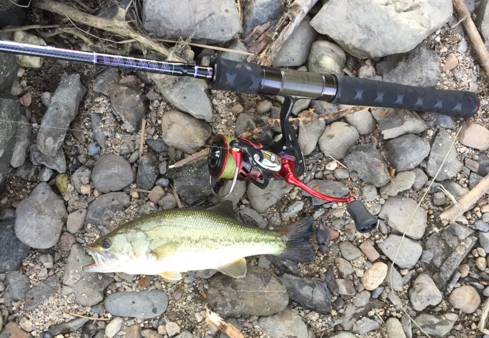 18ハートランド671LFS