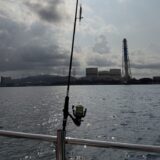 インショア挑戦記