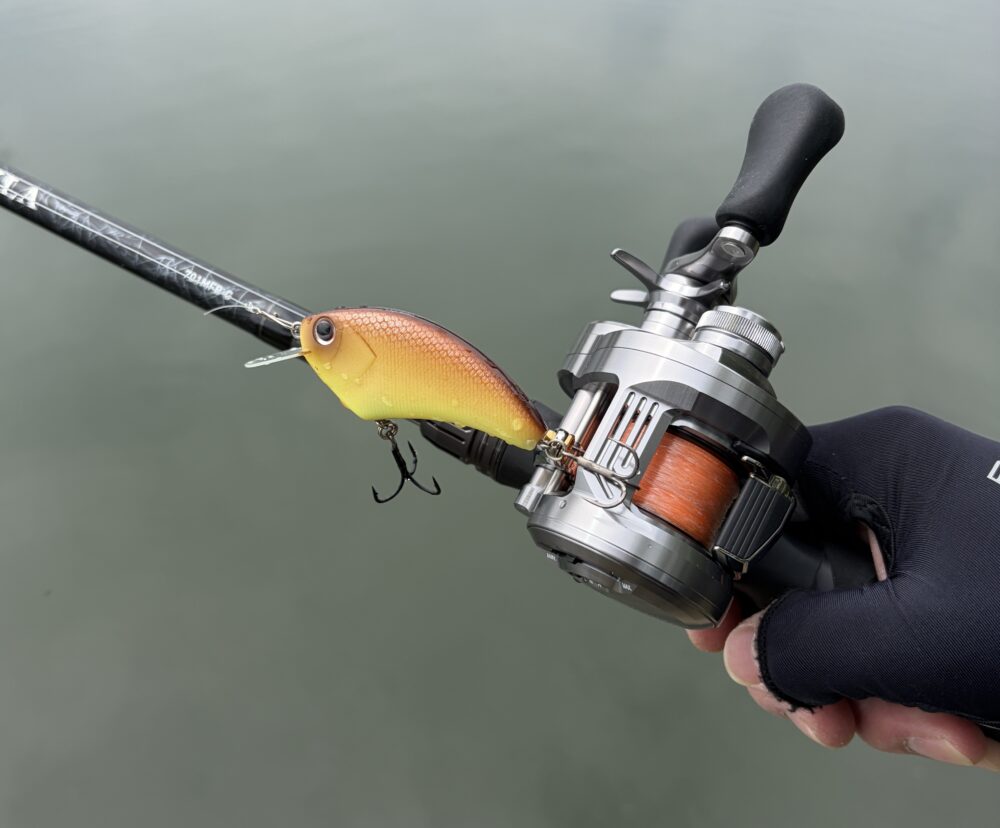 26カルカッタコンクエストDCのキャスト性能8gフラットサイド高比重PE