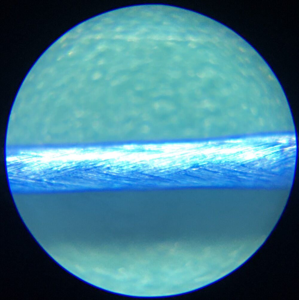 シンジX9の2号の60倍2