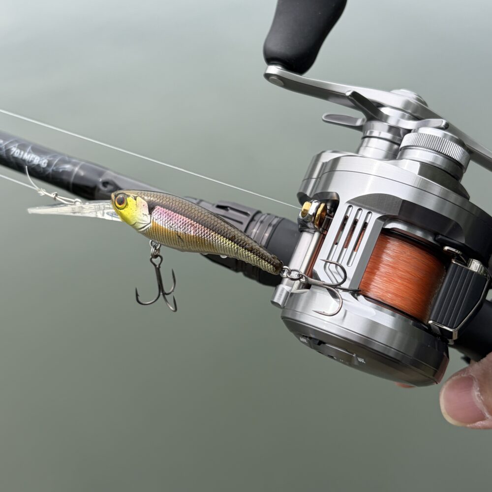 26カルカッタコンクエストDCのキャスト性能5gシャッド高比重PE