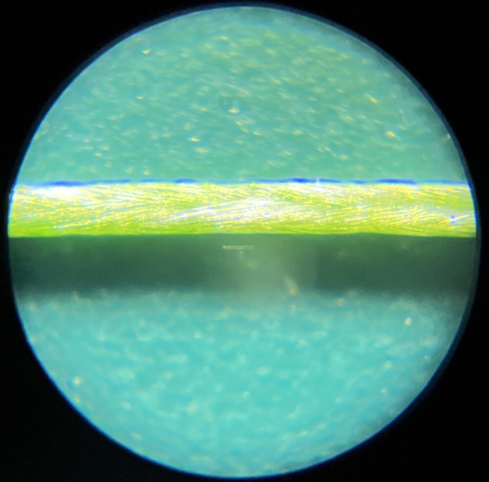 アップグレードX8の60倍