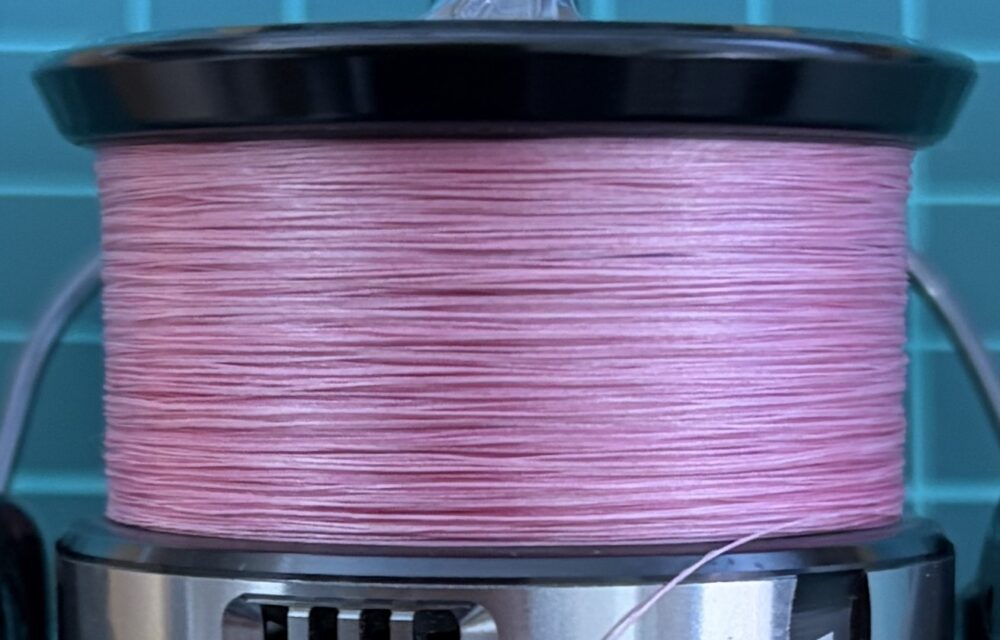 ピッドブルG9_2週目