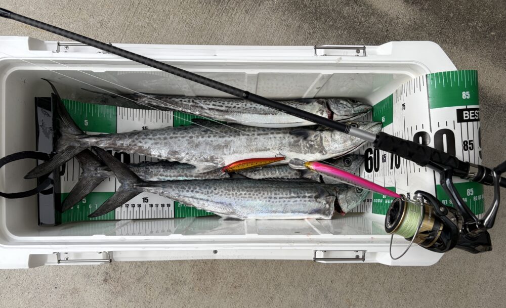 ムーンショットBS S73M+は疲れる