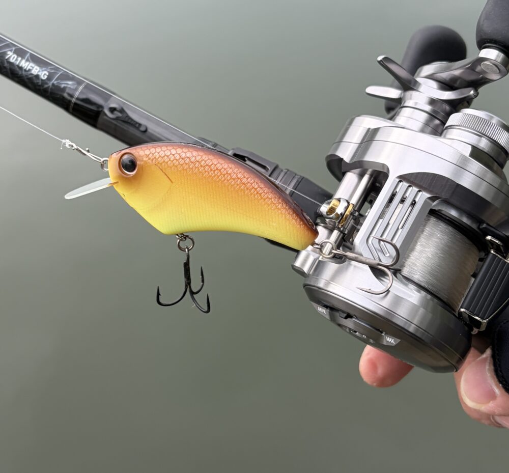 26カルカッタコンクエストDCのキャスト性能FC8gフラットサイド