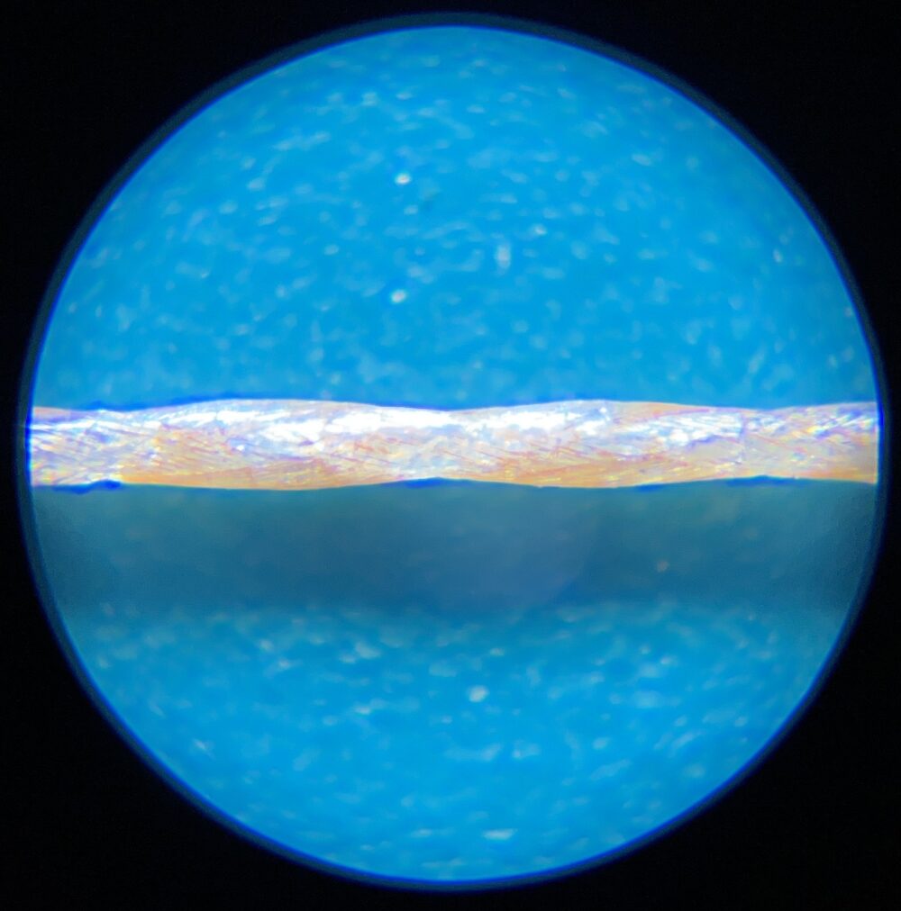 ピッドブルG5の60倍比較1